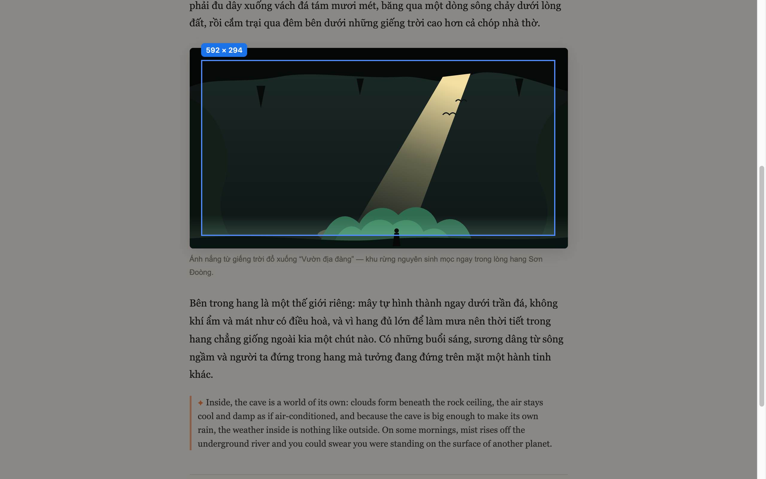 Draw a region on any image — even an animated GIF — and read it in your language.